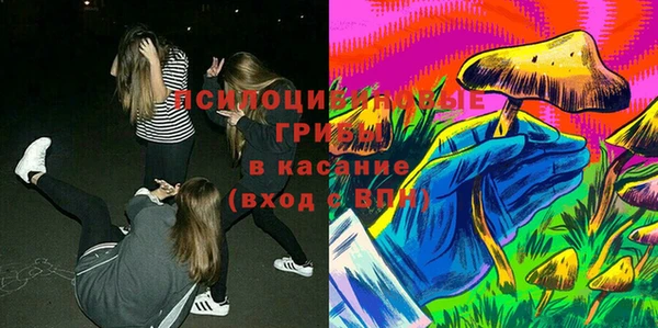 ПСИЛОЦИБИНОВЫЕ ГРИБЫ Волосово