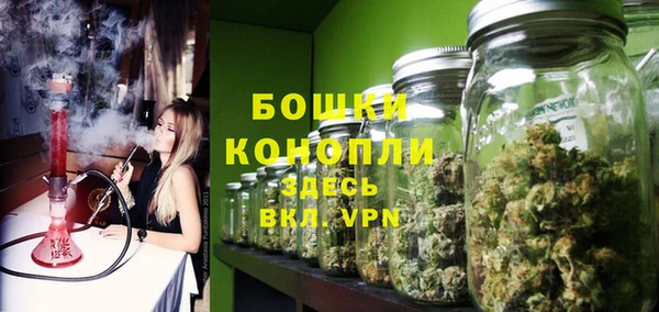 ПСИЛОЦИБИНОВЫЕ ГРИБЫ Волосово