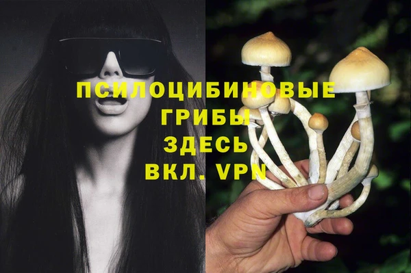 меф Володарск