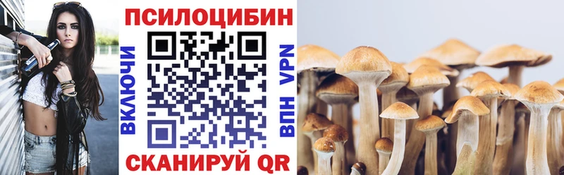 продажа наркотиков  Мариинск  Псилоцибиновые грибы ЛСД 